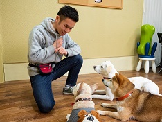 大阪ECO動物海洋専門学校 インタビュー1